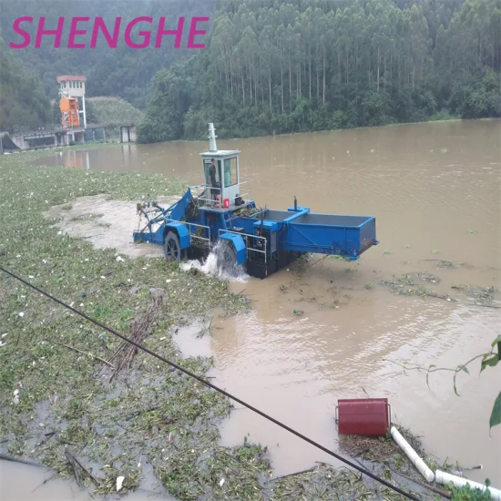 中国のヒヤシンス収穫機 Helgestelt Ashhotea